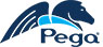 - Pegasystems Claims Management Software