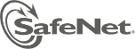 - SafeNet Sentinel Cloud Services