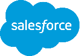 Salesforce Analytics Cloud