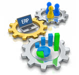 The Case For – and Against – ERP Customization