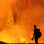 Yosemite Fire: A Technology Disaster Readiness Reminder