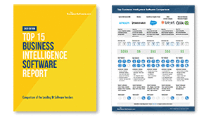 Top 15 Business Intelligence Software